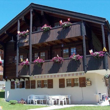 Chalet Marder Riederalp Dış mekan fotoğraf
